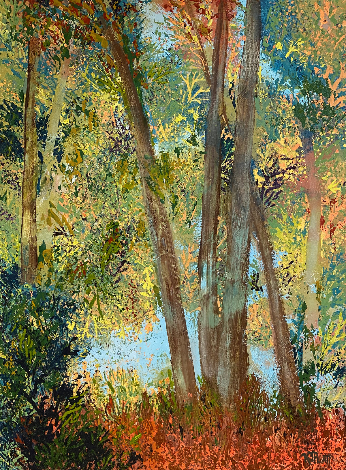 Tangled Light