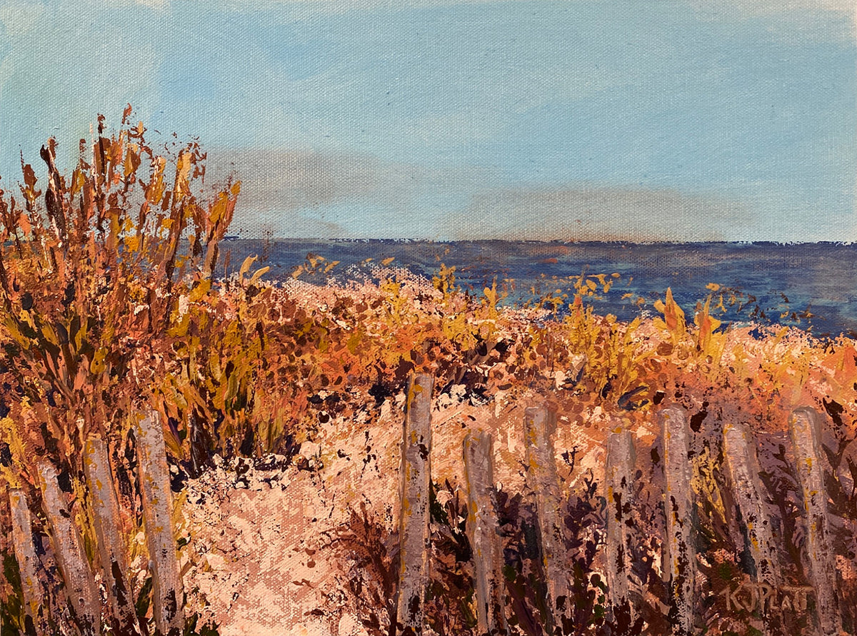 Beyond The Dunes